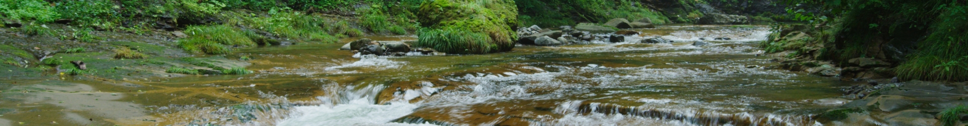 第70回 日本生態学会大会
