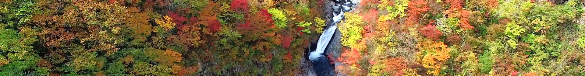 The 70th Annual Meeting of the Ecological Society of Japan