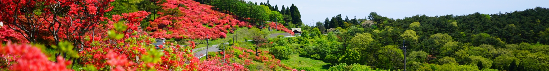 第70回 日本生態学会大会